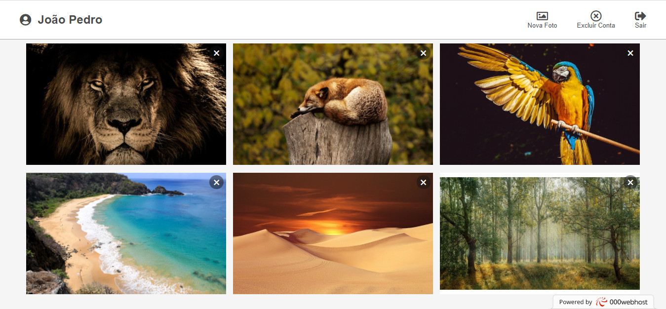 site de galeria de fotos